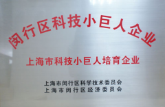 上海(闵行区)科技小区人培育企业