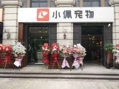 喜茶宠物友好主题店开业，场景营销“出圈”！