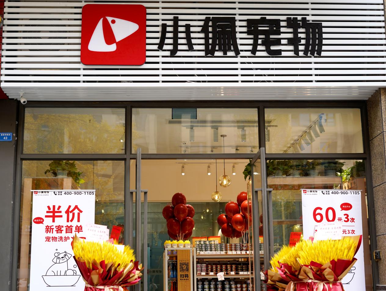 小佩宠物成都丽都首府店